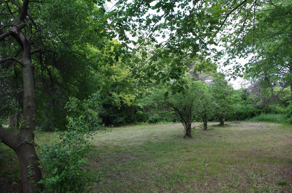 Chateau Le Vergel Authenac Ginestas Quarto foto